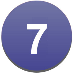 Paso número 7